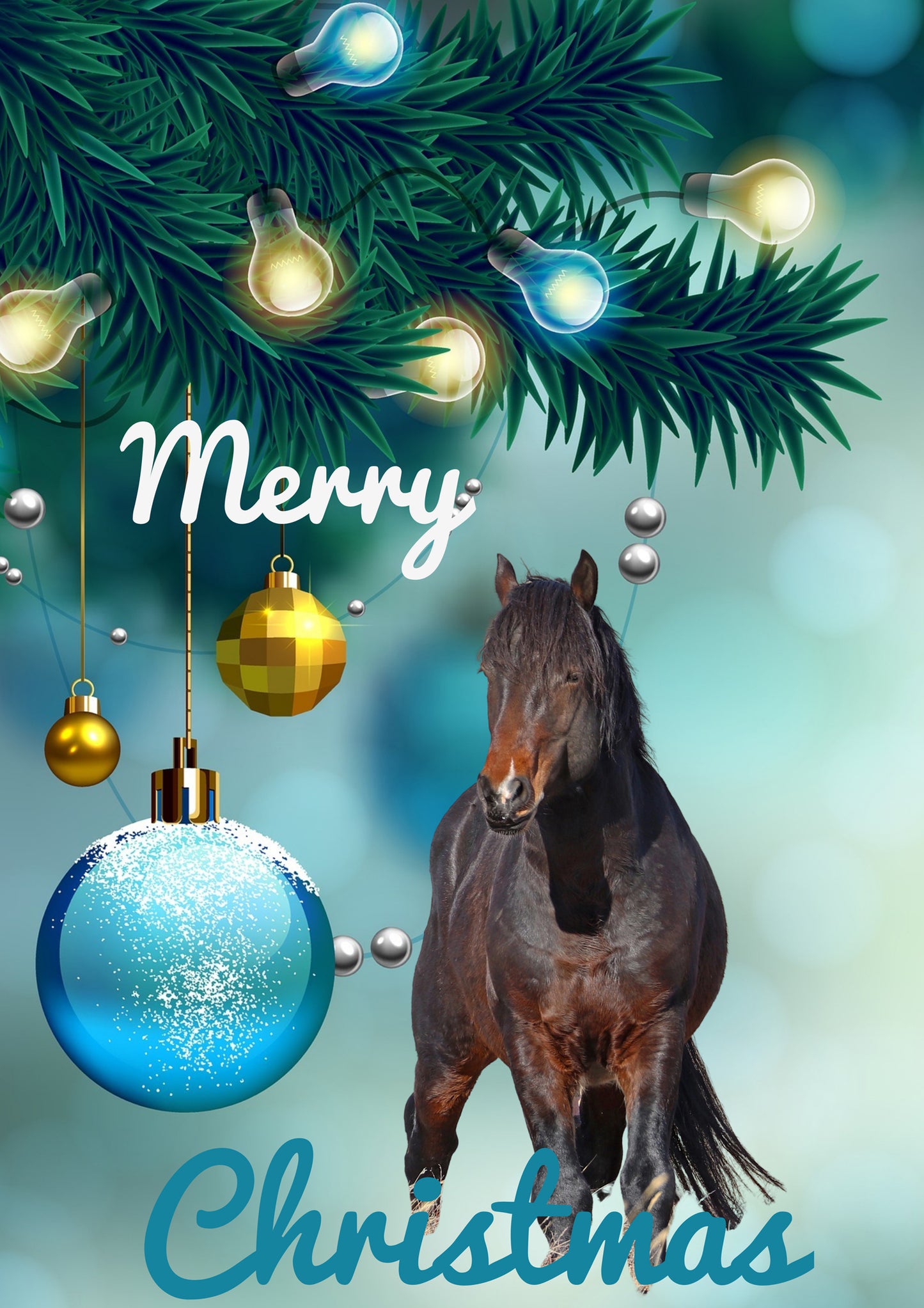 2021 Chasing Horses Christmas Card