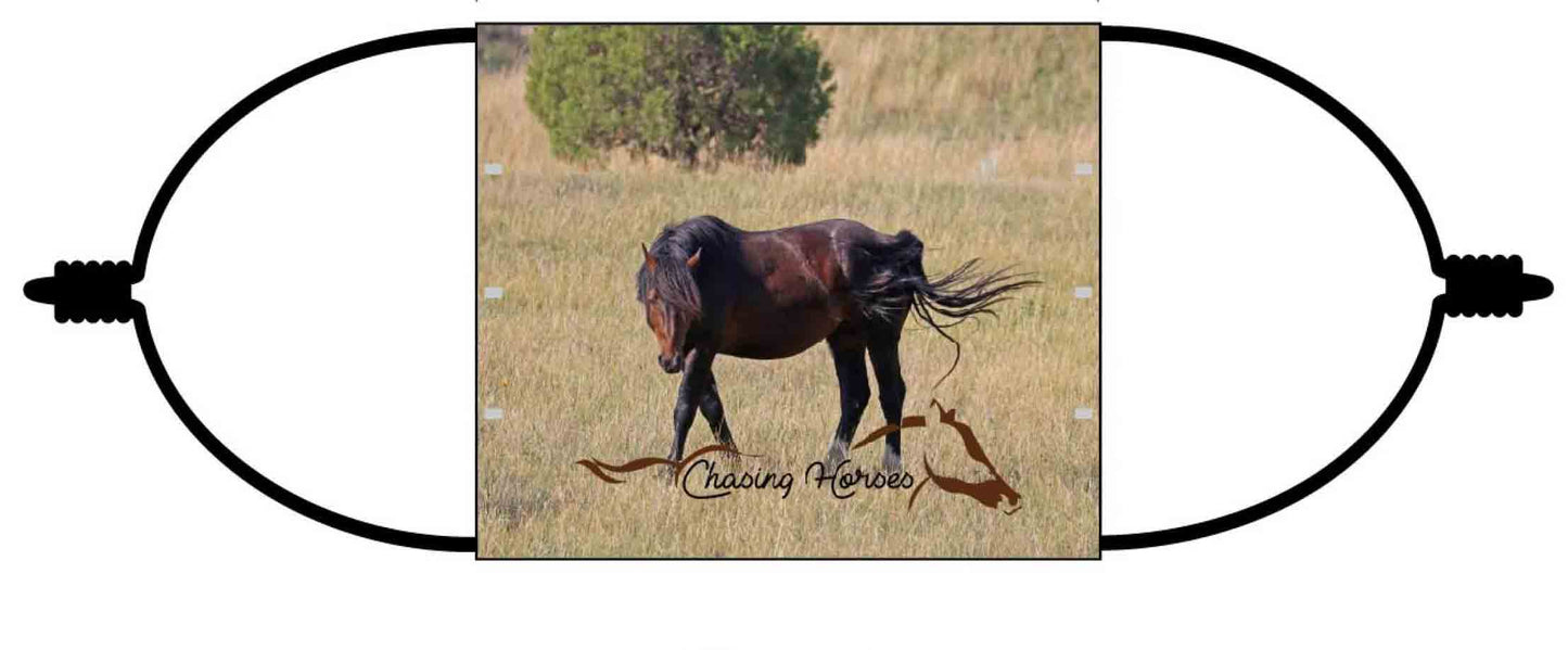 Chasing Horses Adult Face Masks