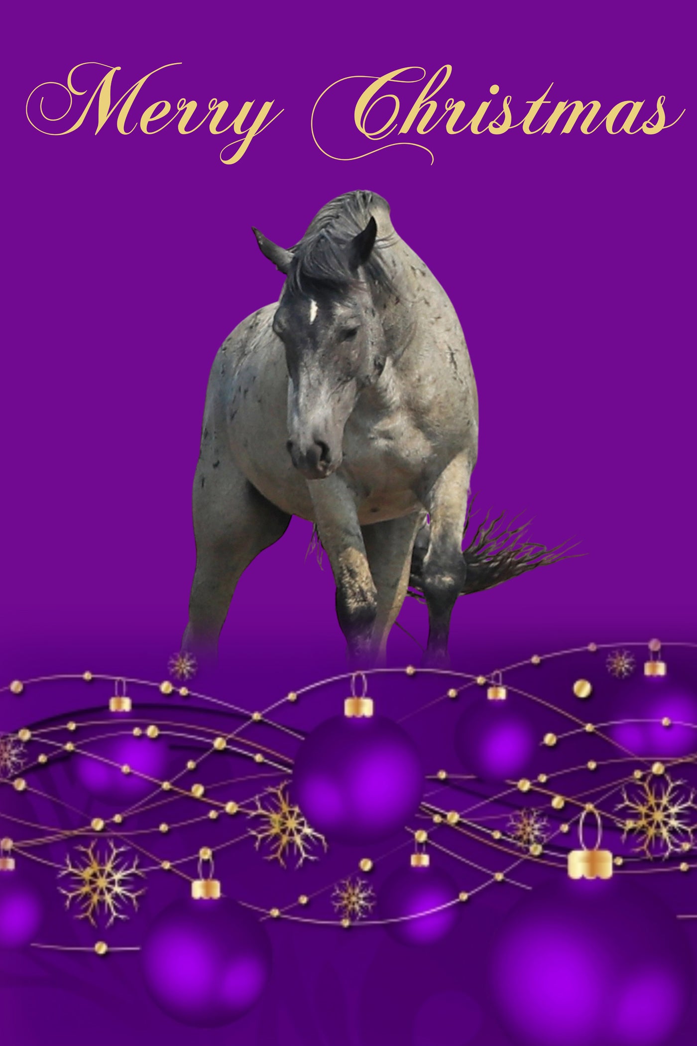 2021 Chasing Horses Christmas Card