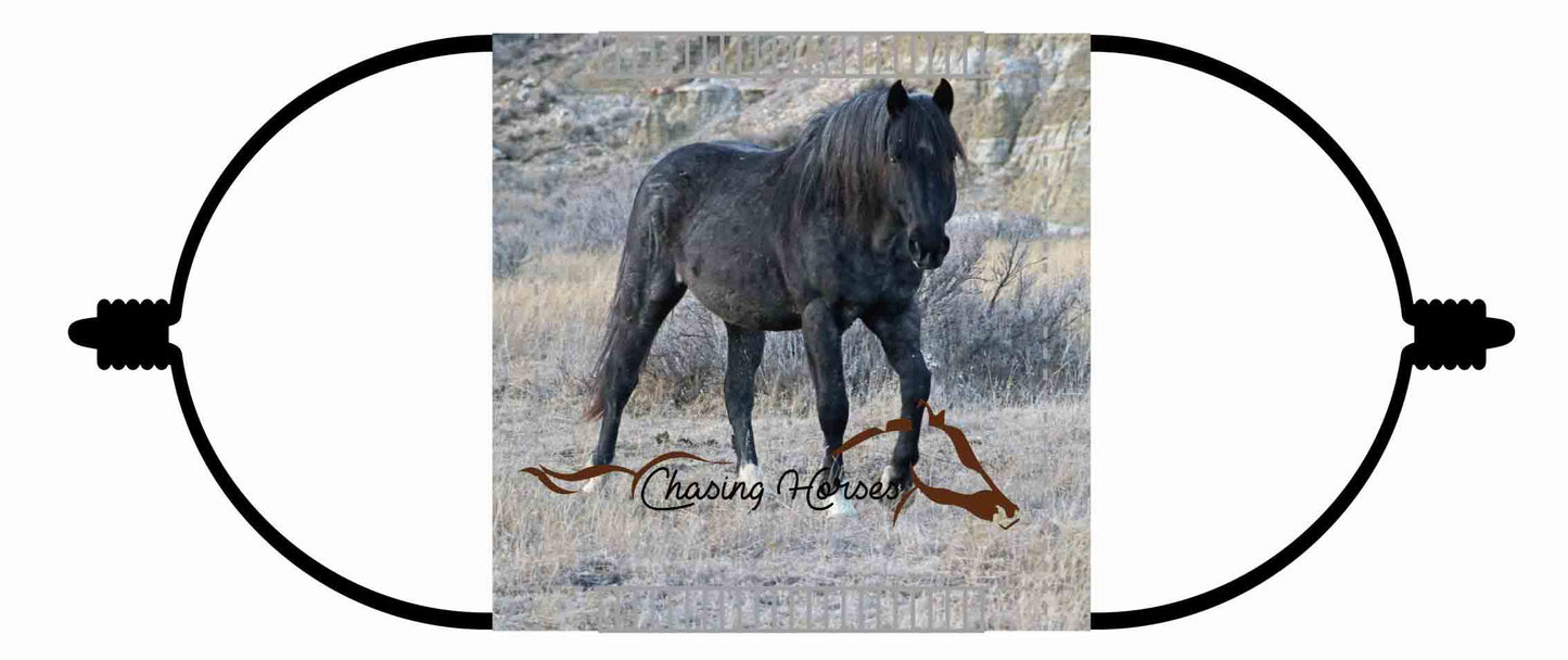 Chasing Horses Children's Face Masks
