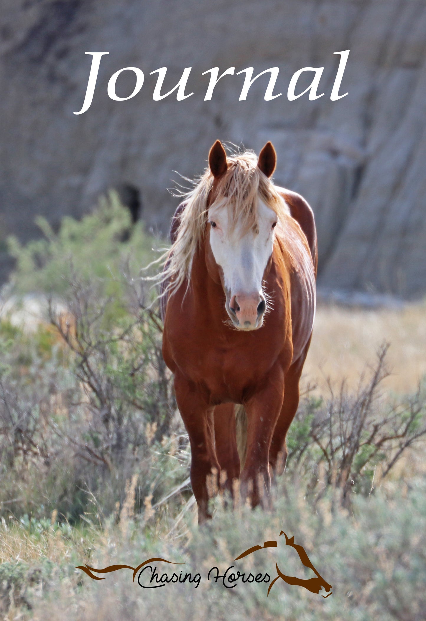 Chasing Horses Journals