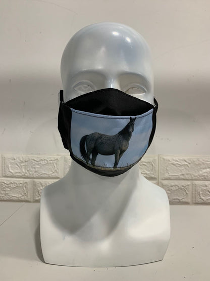 Chasing Horses Face Masks - 2nd release