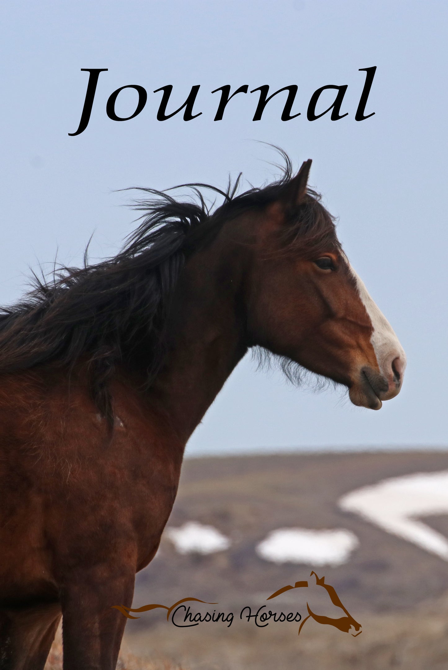 Chasing Horses Journals