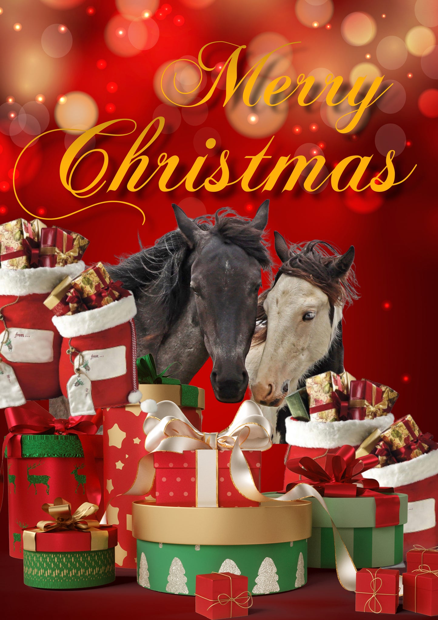 2021 Chasing Horses Christmas Card