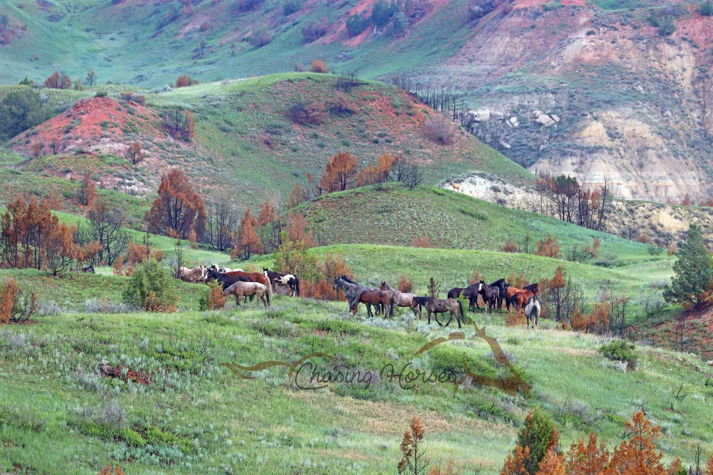 Arrowhead, Copper & Thunder Cloud's Bands Print
