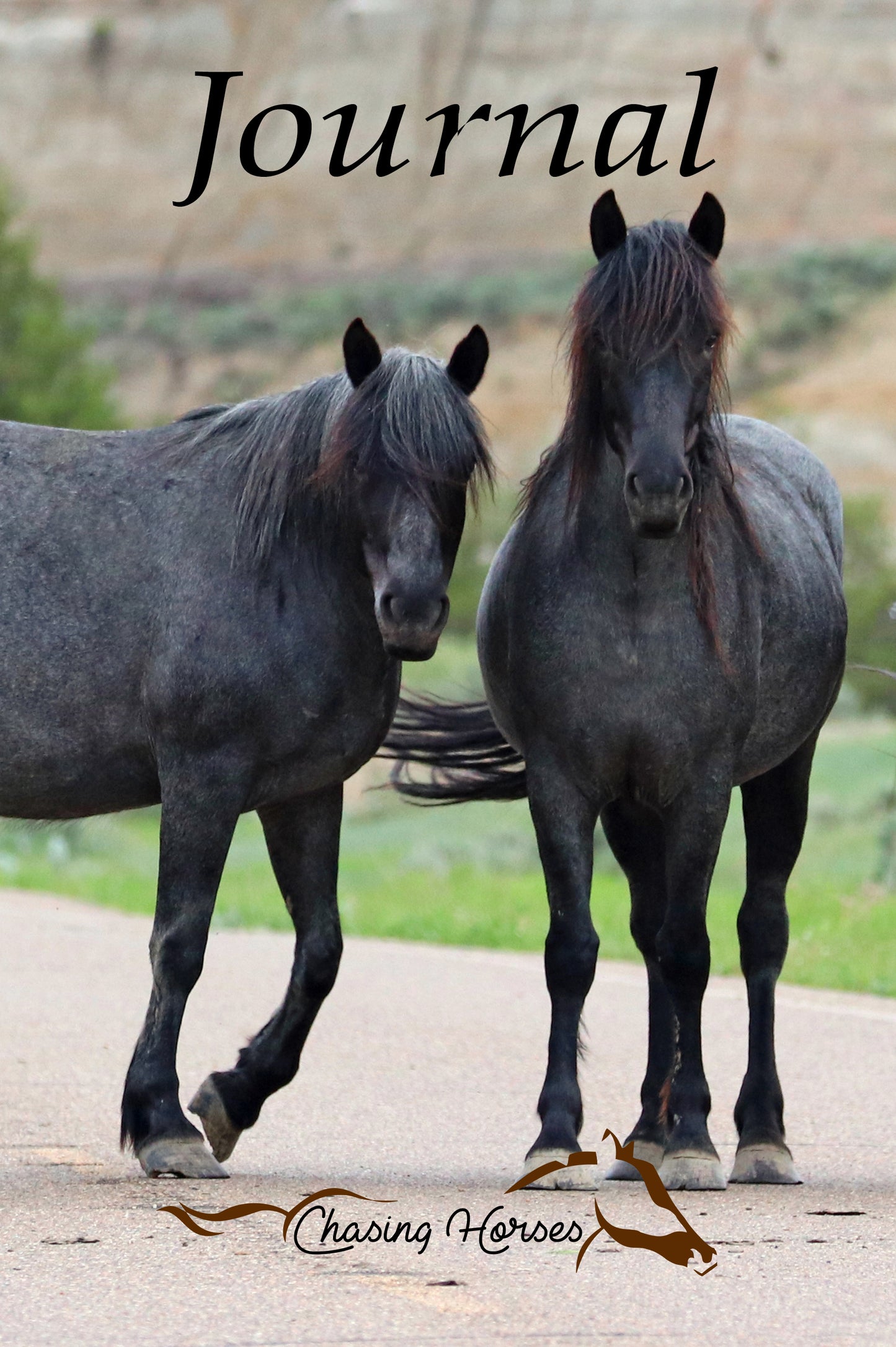 Chasing Horses Journals