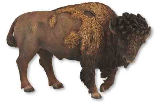 Breyer CollectA American Bison