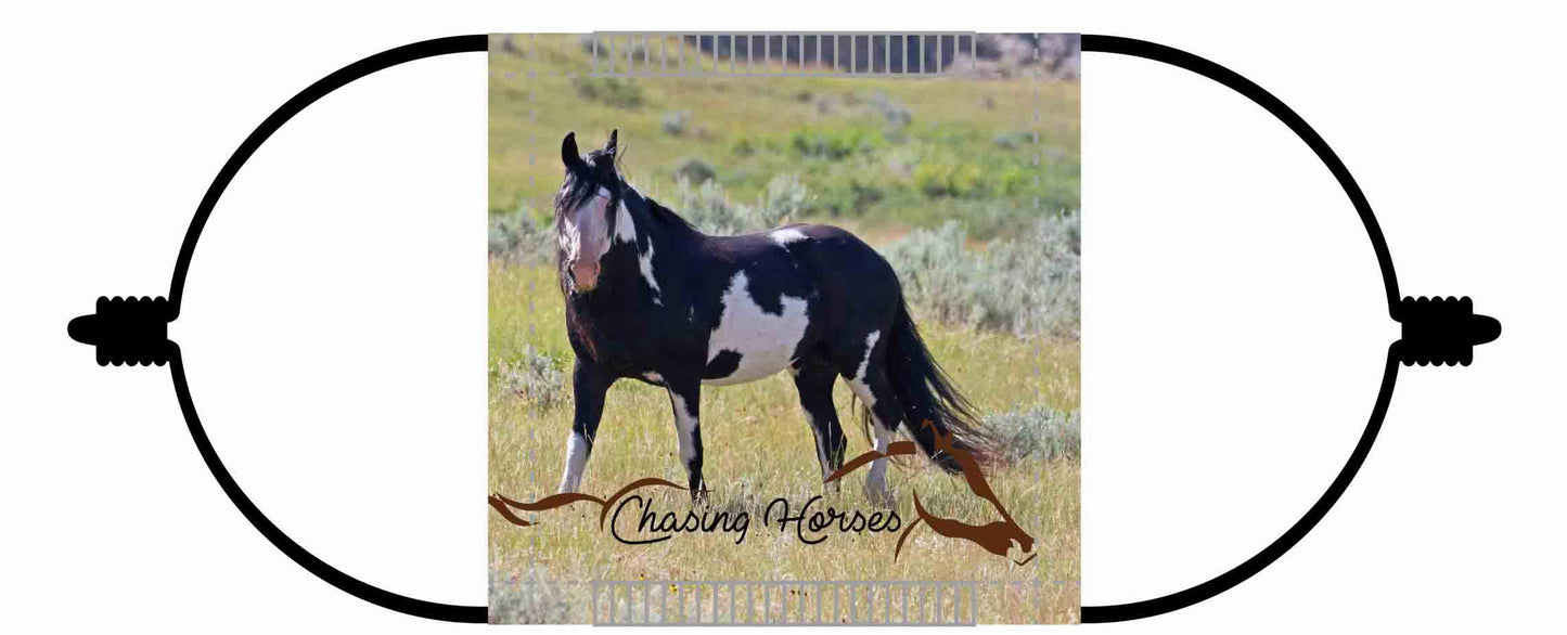Chasing Horses Children's Face Masks