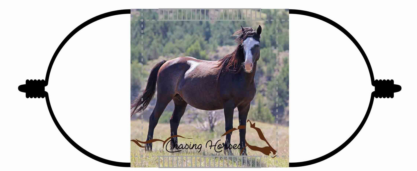 Chasing Horses Children's Face Masks