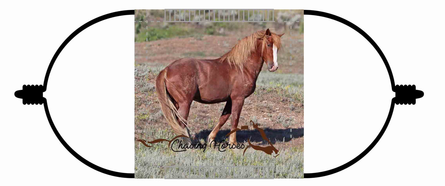 Chasing Horses Children's Face Masks