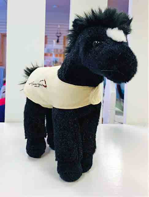 Flint Black with Star Horse