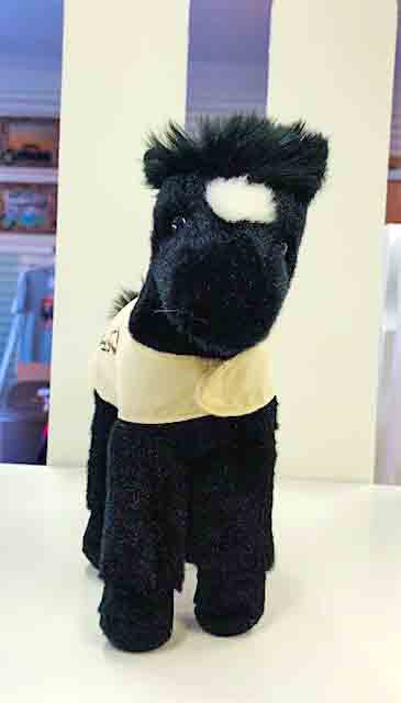 Flint Black with Star Horse