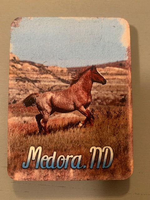 Magnet Chasing Horses 2 x 3 Magnets