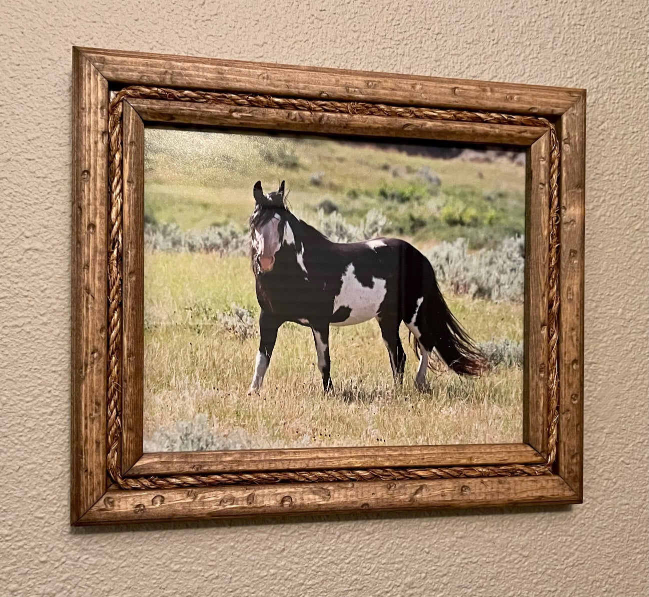 Rawhide Rope framed print
