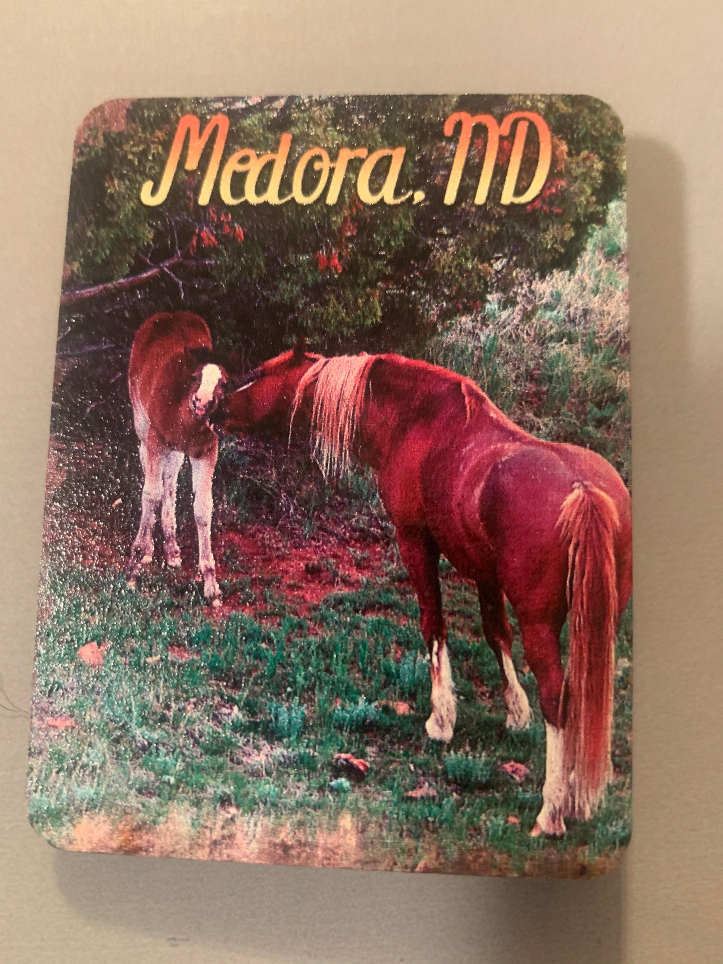 Magnet Chasing Horses 2 x 3 Magnets
