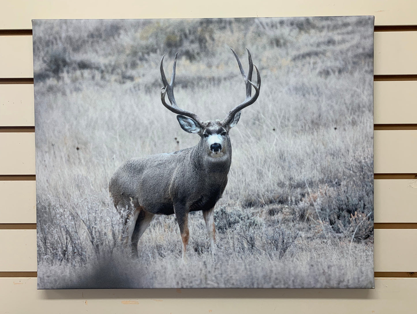 Local Artist Albert Myran Jr. 16x20 Buck