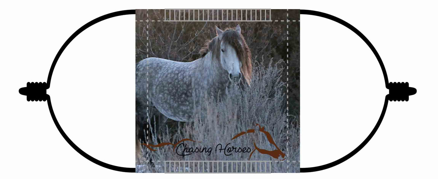 Chasing Horses Children's Face Masks