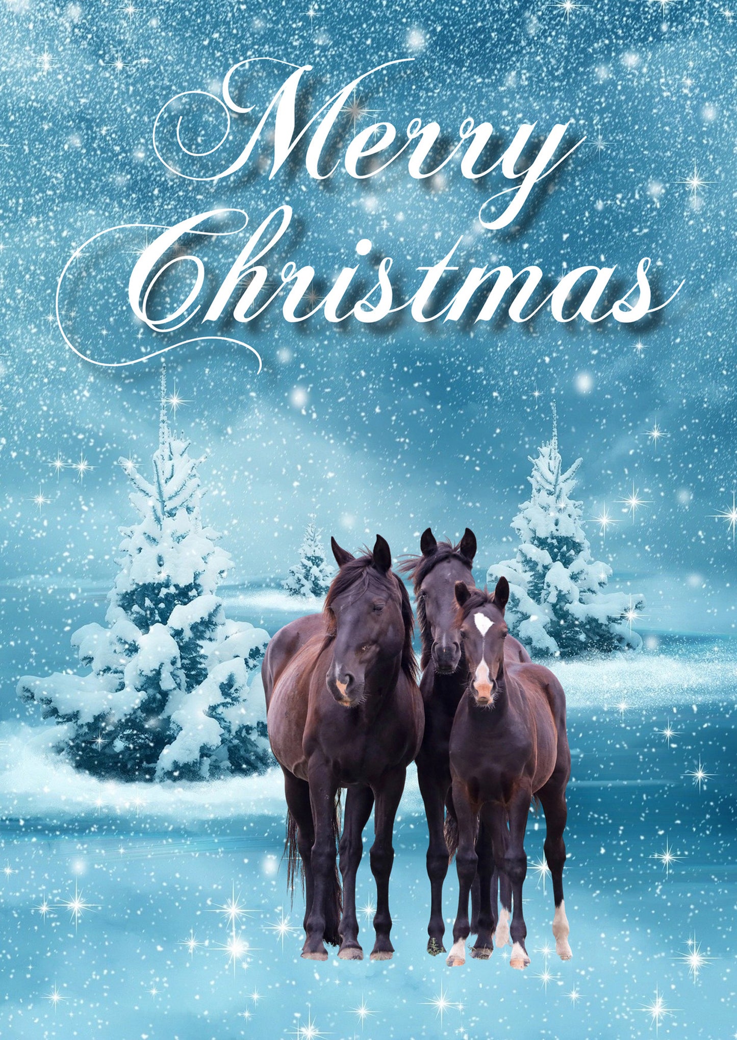 2021 Chasing Horses Christmas Card