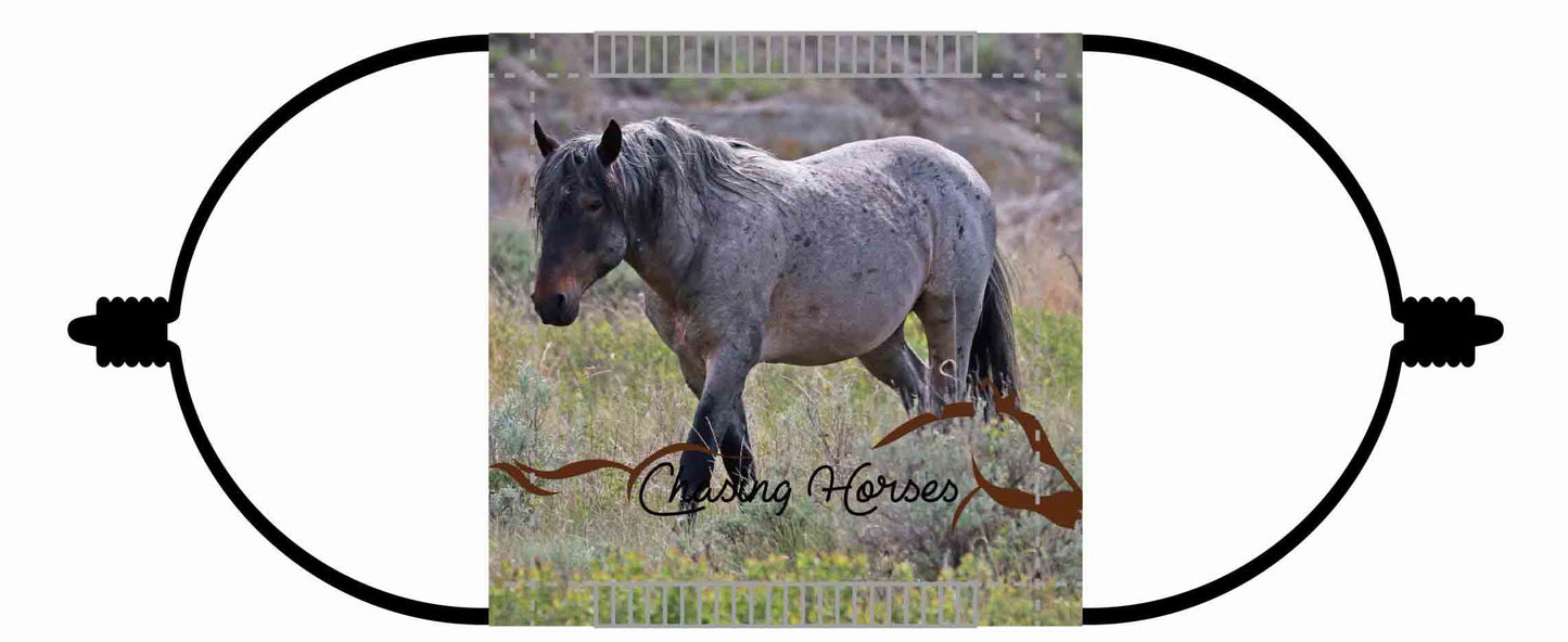 Chasing Horses Children's Face Masks