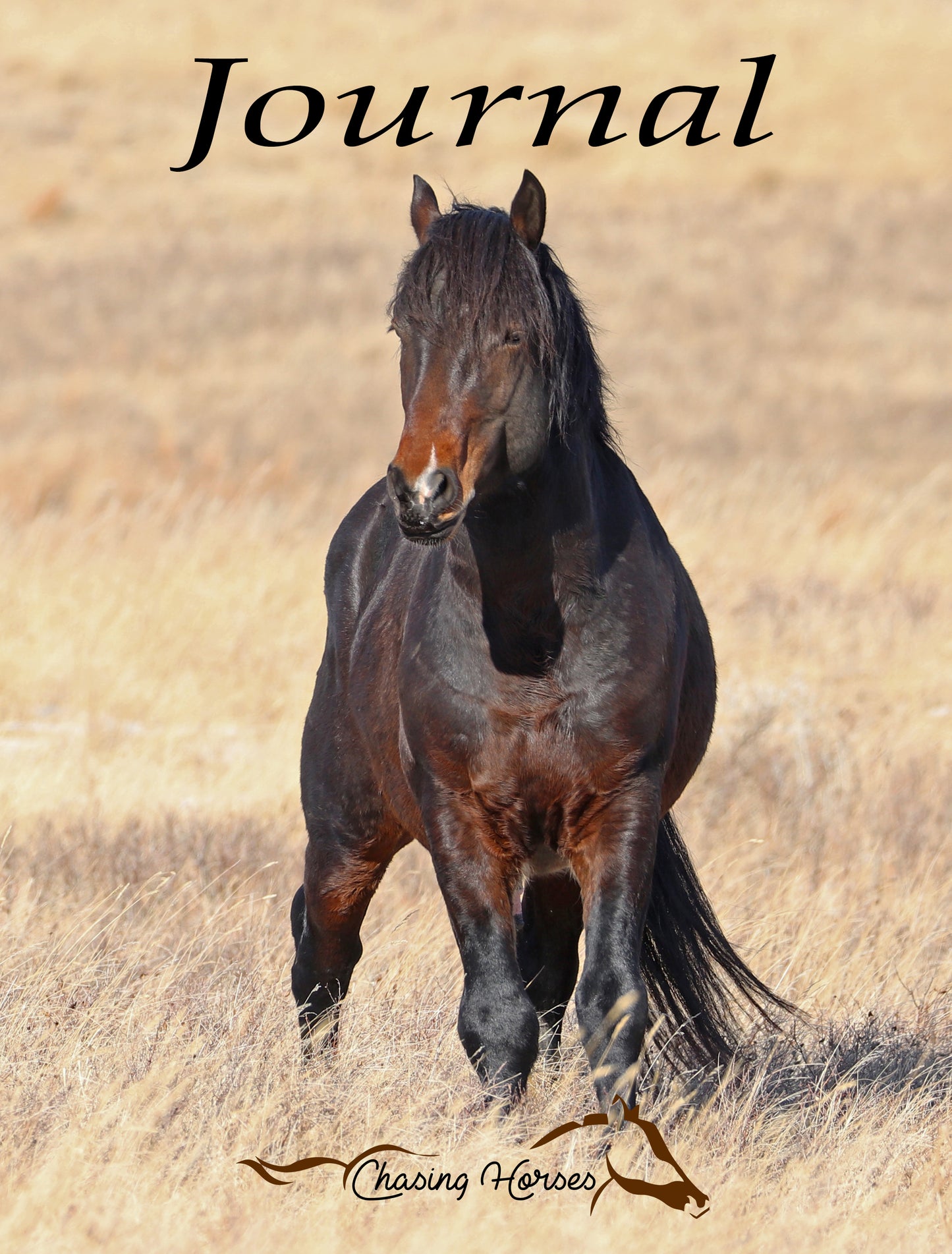 Chasing Horses Journals