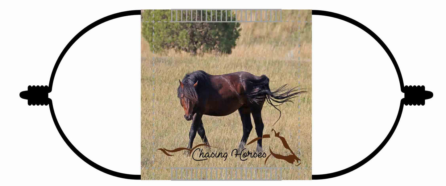 Chasing Horses Children's Face Masks