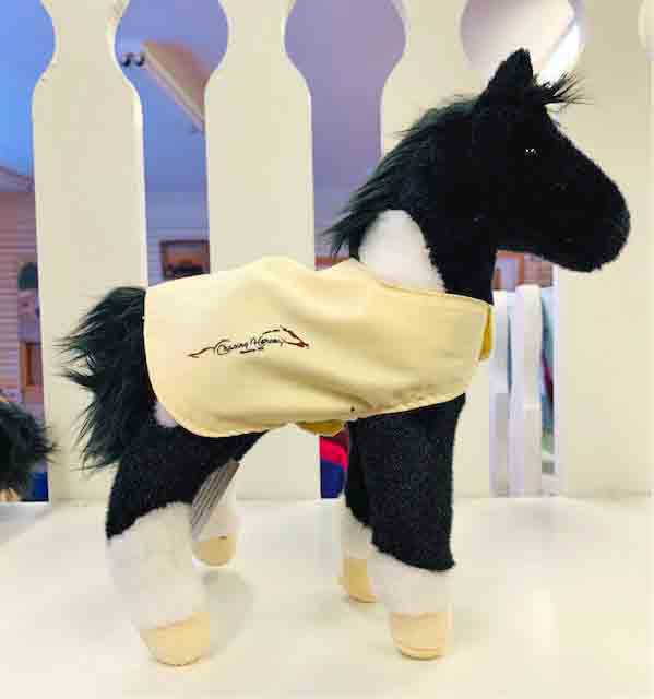 Runner the Black and White Paint Foal