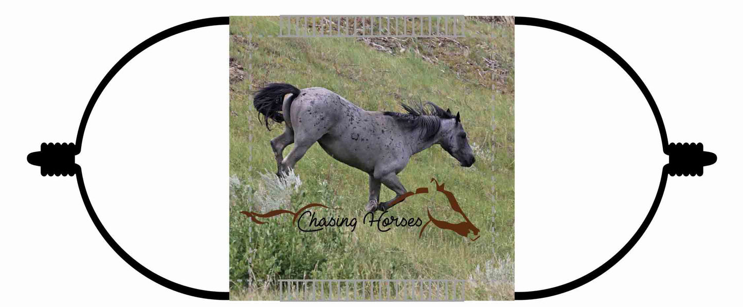 Chasing Horses Children's Face Masks