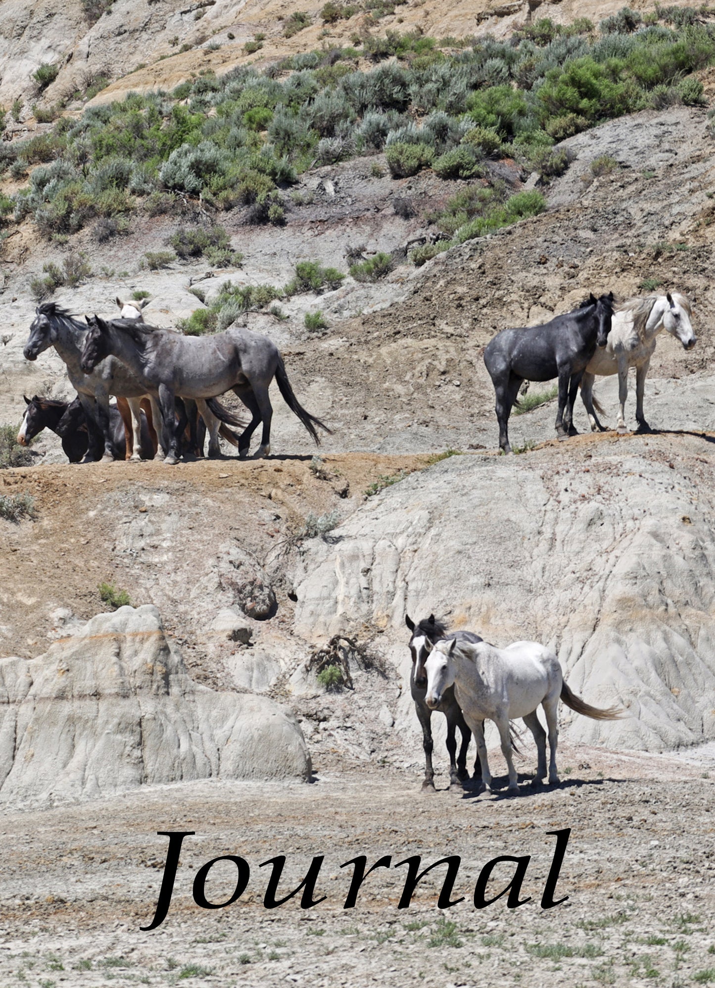 Chasing Horses Journals