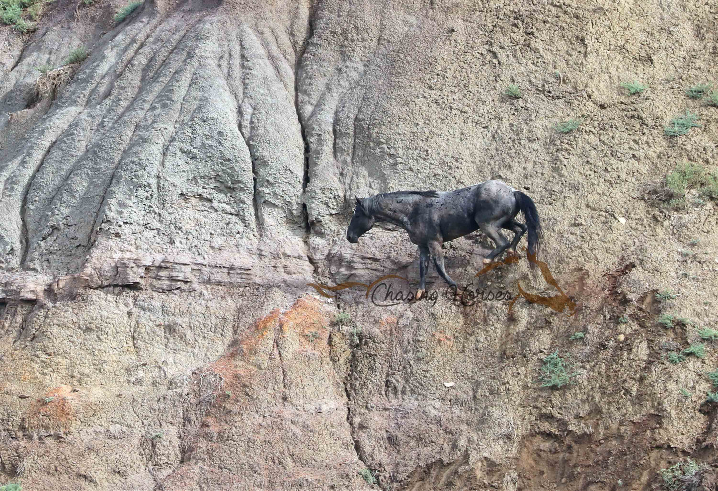 Stallion Thunder Cloud 4 Print