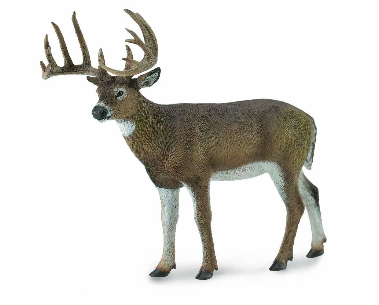 Breyer CollectA White-Tailed Deer