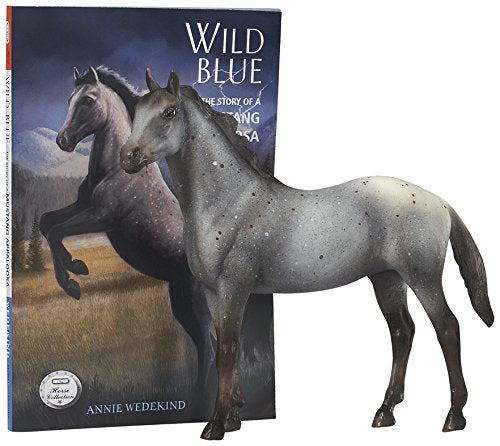 Wild Blue Book and Model Set