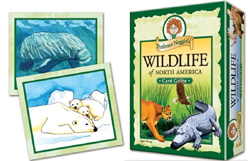 Professor Noggins Wildlife of North America