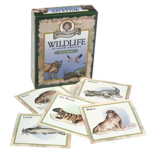 Professor Noggins Wildlife of North America