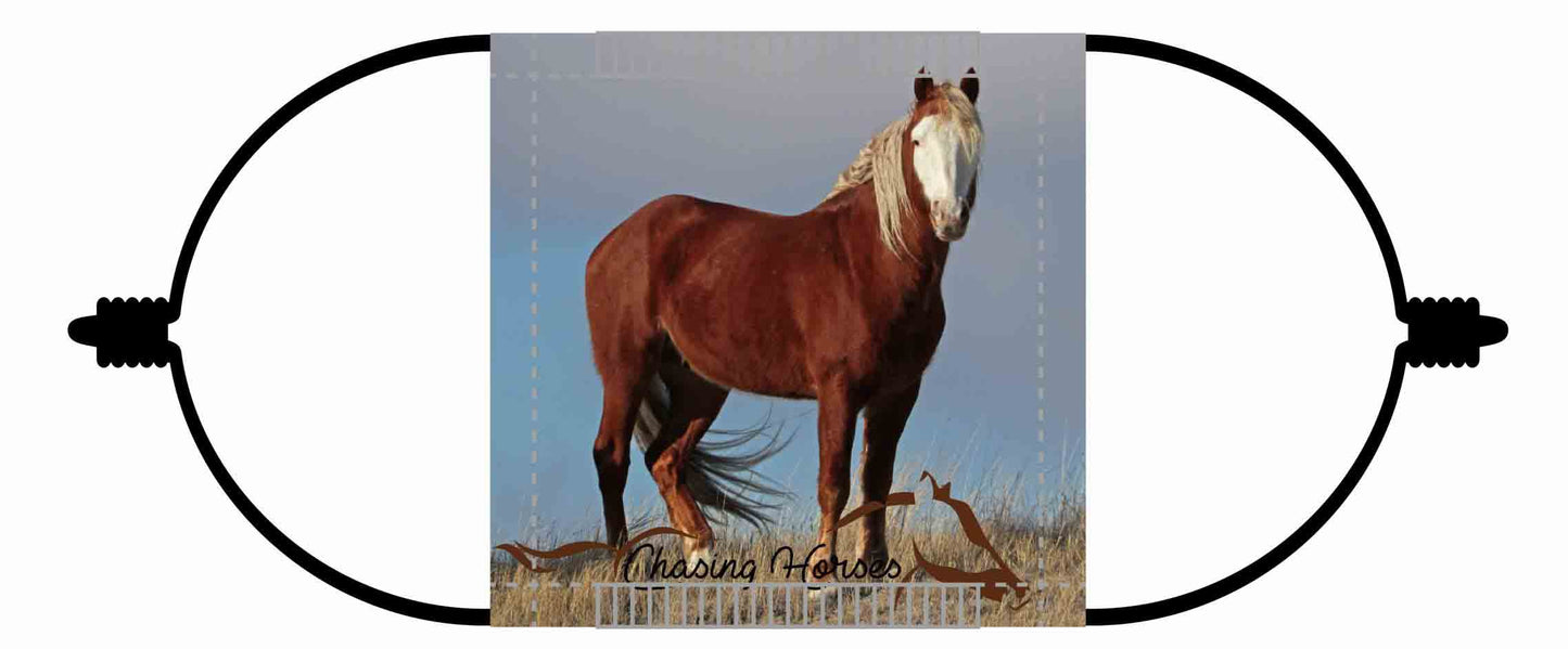 Chasing Horses Children's Face Masks