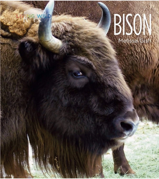 Living Wild: Bison