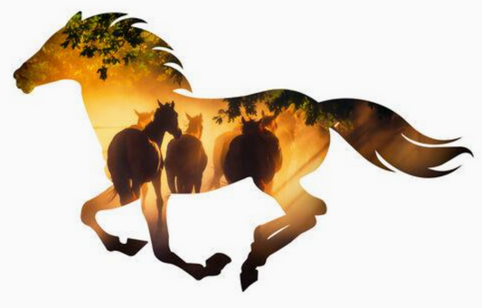 Misty Morning Small Running Horse Wall Art