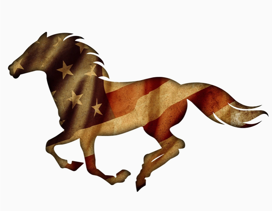 Patriotic Running Horse Wall Art