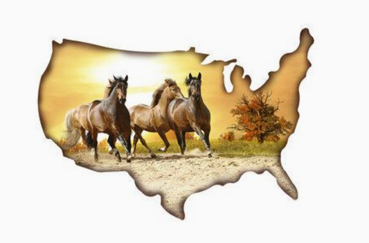 USA Shape with Horses Small Wall Art