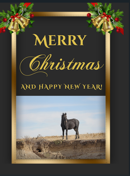 2024 Chasing Horses Christmas Cards