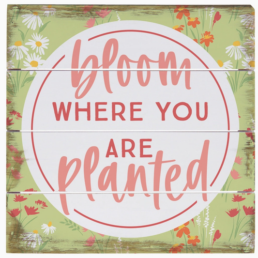 Bloom Planted Green - Perfect Pallet Petites