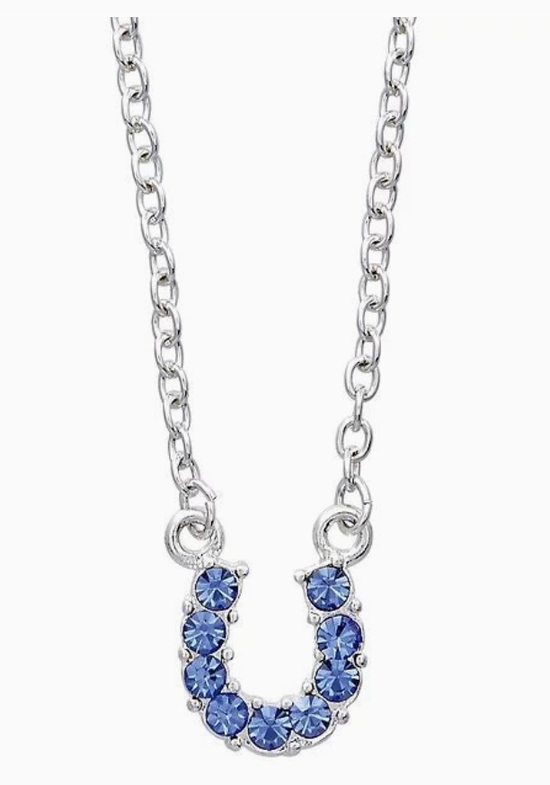 Blue Rhinestone Horseshoe Necklace W/Horse Head Gift Box