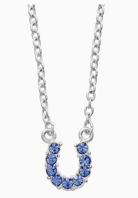 Blue Rhinestone Horseshoe Necklace W/Horse Head Gift Box