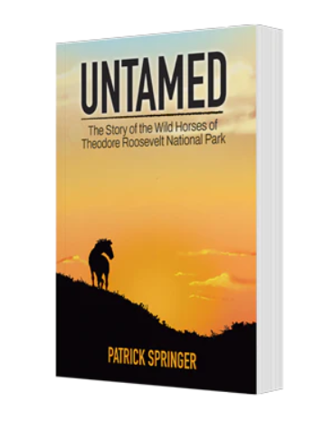 Untamed: The Story of the Wild Horses of Theodore Roosevelt National Park