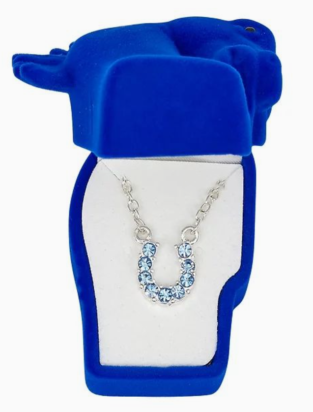 Aqua Rhinestone Horseshoe Necklace W/Horse Head Gift Box