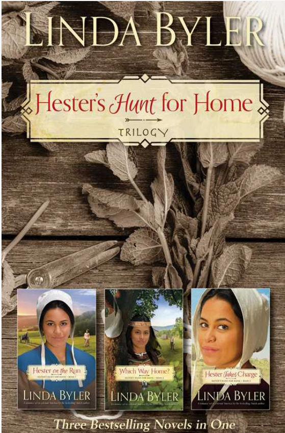 Hester's Hunt For Home Trilogy By Linda Byler