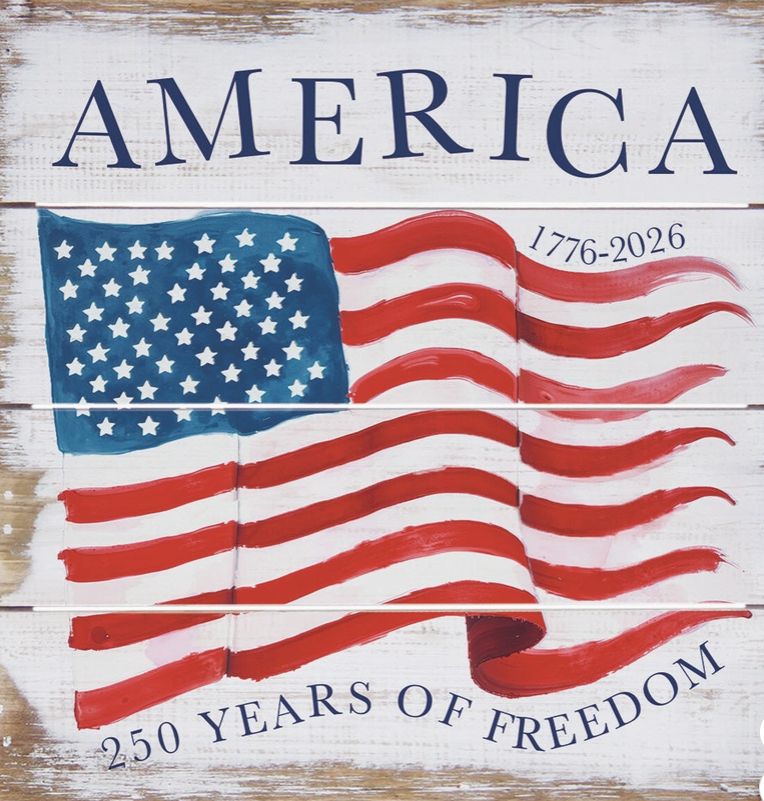 America Flag 250 Years - Perfect Pallet Petites