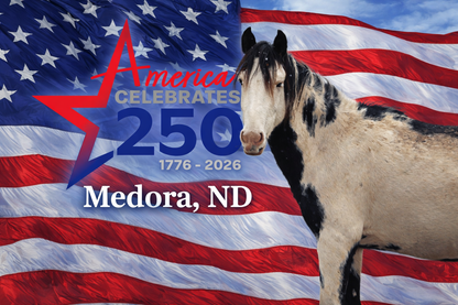America's 250th 4" magnets
