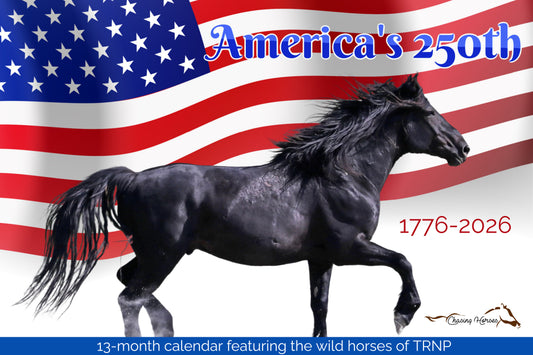 Chasing Horses 13-month 2026 calendars