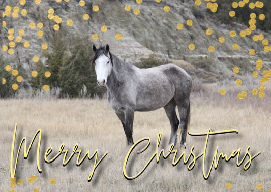 2024 Chasing Horses Christmas Cards