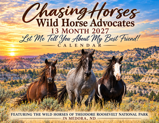 CHWHA 2027 13-month calendar
